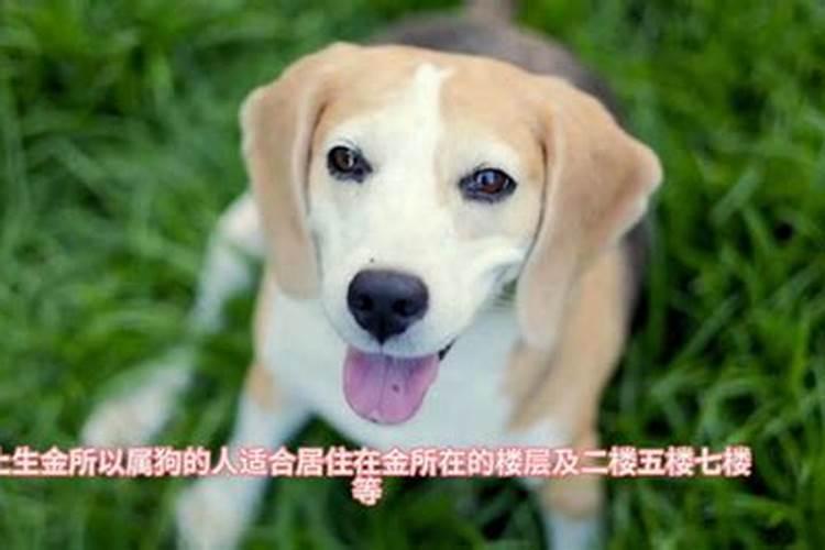 判答7月双鱼座运势吉凶