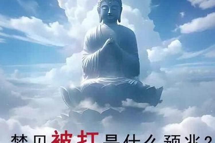 女人梦见苜蓿嫩绿是什么意思