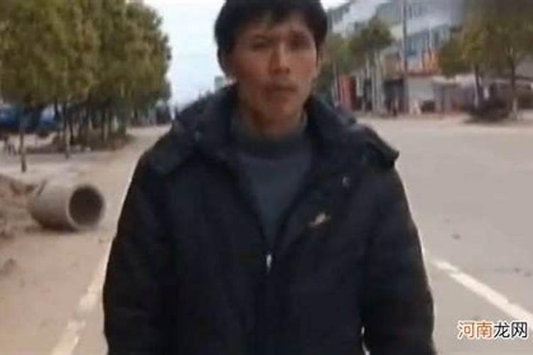 梦见看大乌龟