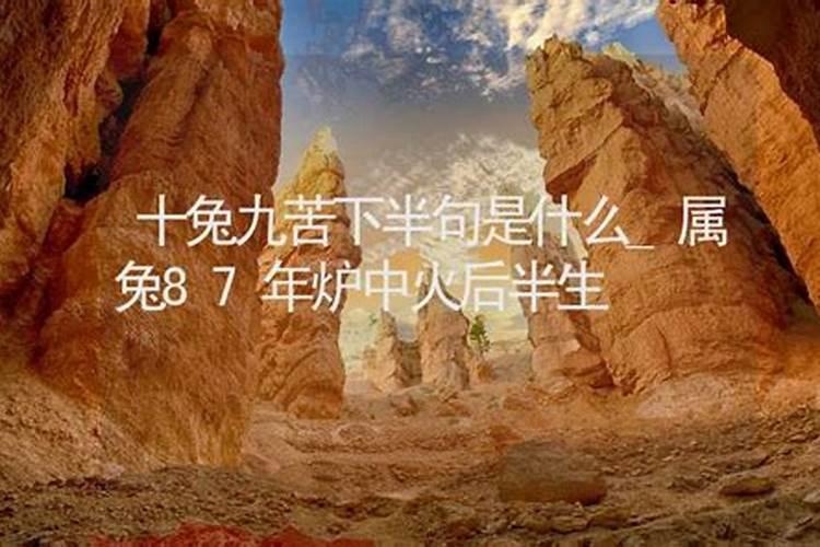 1972年出生的属鼠人在哪年运气最旺