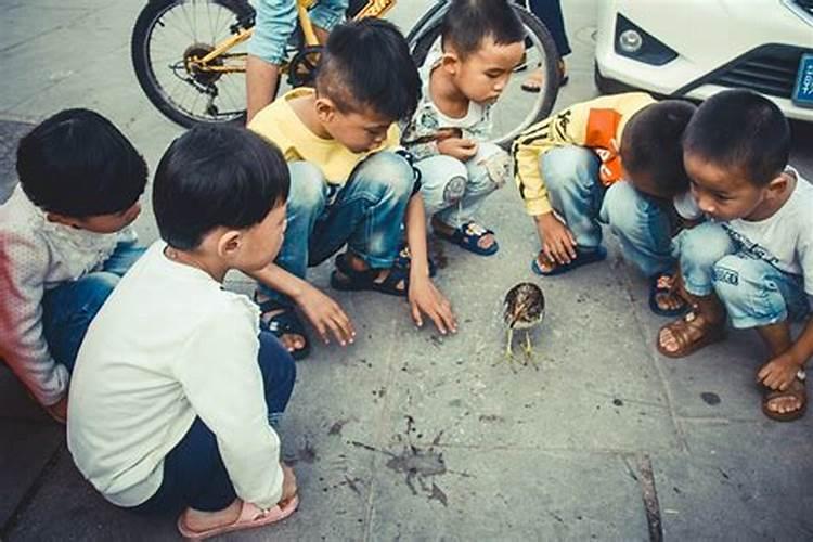 梦见有小孩在我身边的预兆