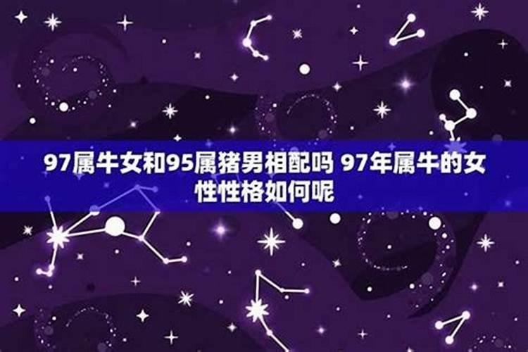牛与牛婚配好不好是上等婚吗