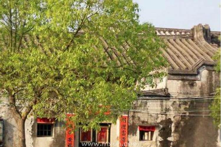 女人梦见蛇要咬,没咬到