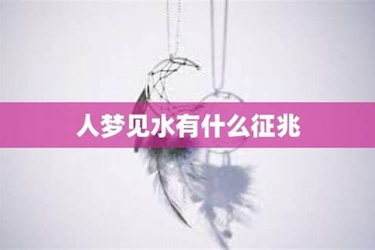 2028年生肖猴年运势全解析