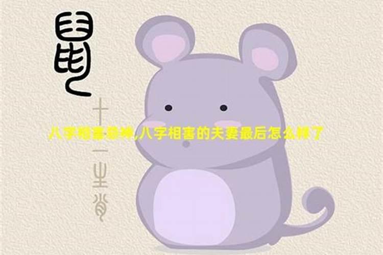 属相不合但是星座很合,属相相害但星座相合的人在一起好吗
