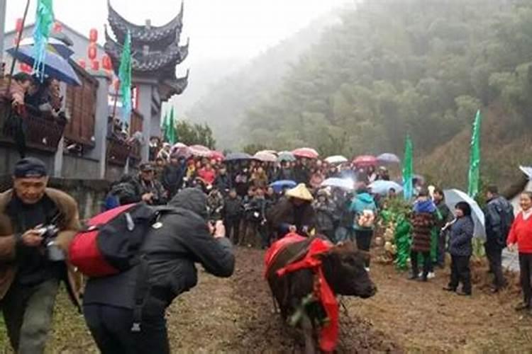 属猪和属牛的合得来吗