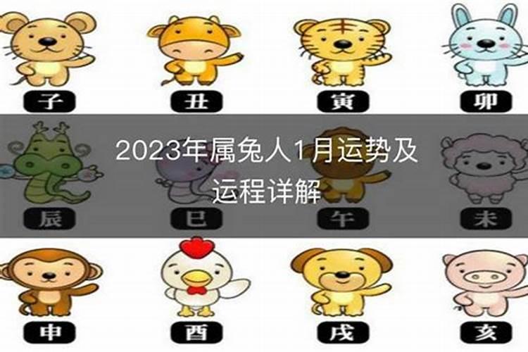 1963年属兔人2024年运势及运程每月详解
