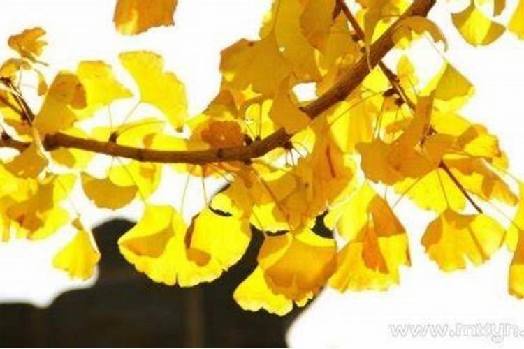 总是梦见男朋友出轨怎么回事