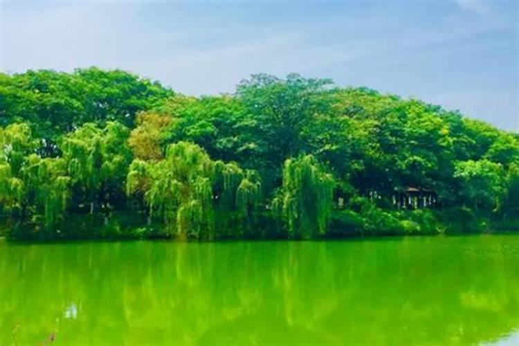 在家自己做的复合小法术,小琦在家做糖溶于水的实验时