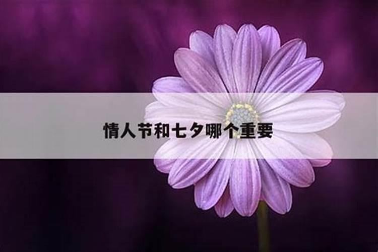 91年的羊2025年运势