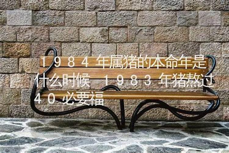 猪年有哪些生肖犯太岁,冲太岁啊？