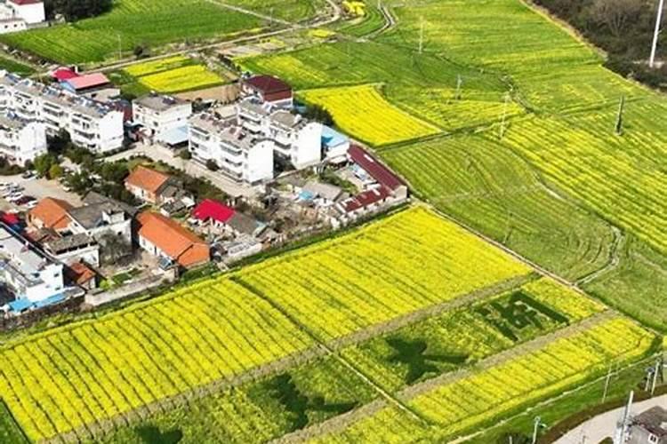 安徽省安庆市太湖县道士属于道士中哪一派