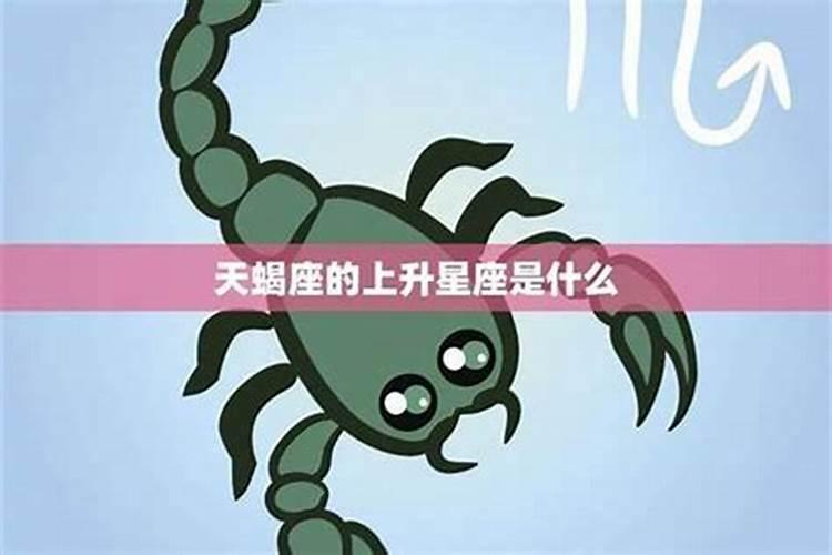 属猪和属兔婚姻好不好,属猪和属兔的人在一起合适吗？