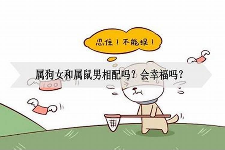 哪个朝代中秋节开始成为固定节日