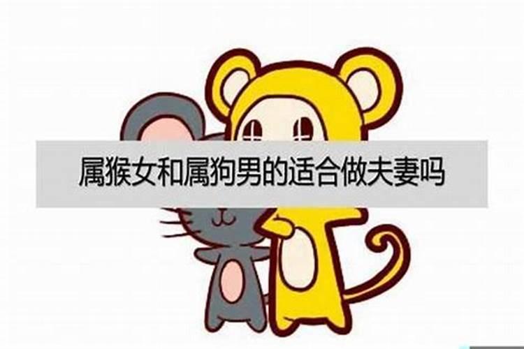 在清明日子里用什么水果好？