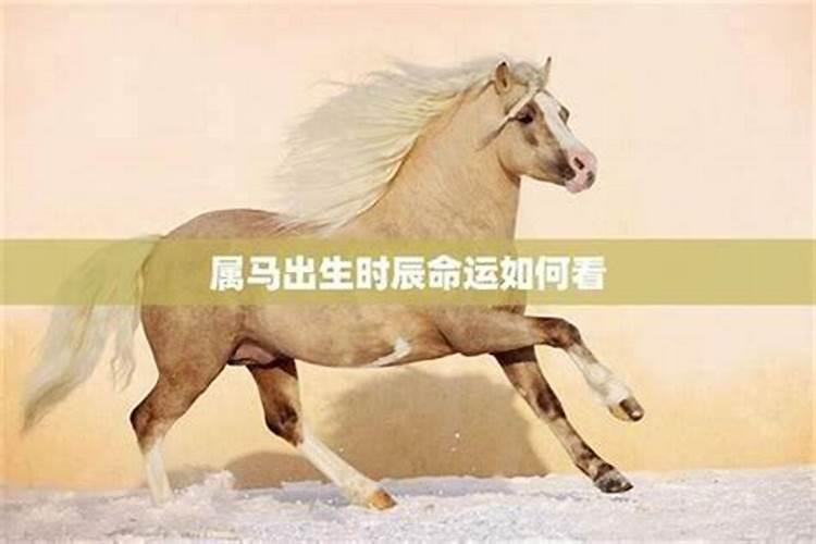 梦见老婆被人拐跑了的预兆