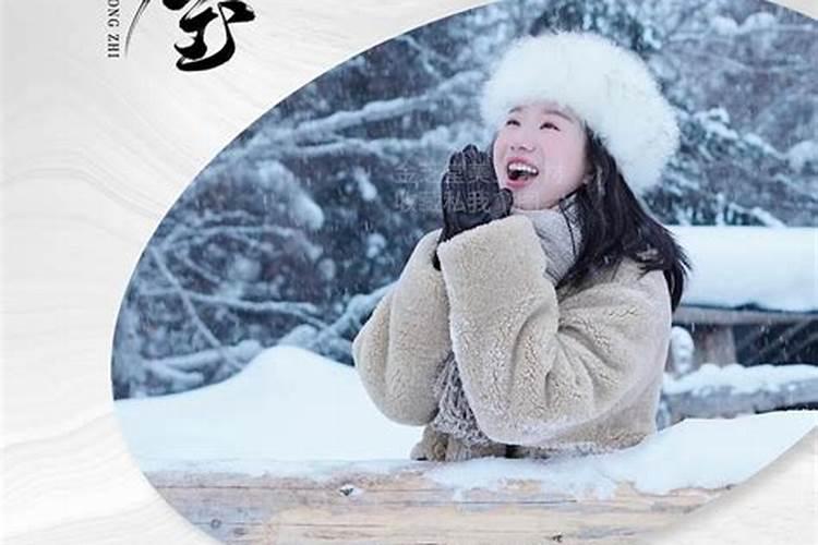 属狗的虎年运势如何
