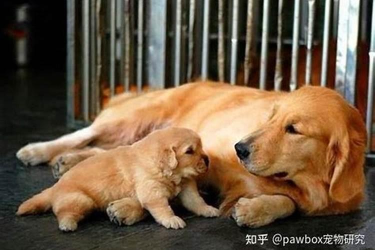 神婆子为什么啥都知道 神婆真的可以通神吗