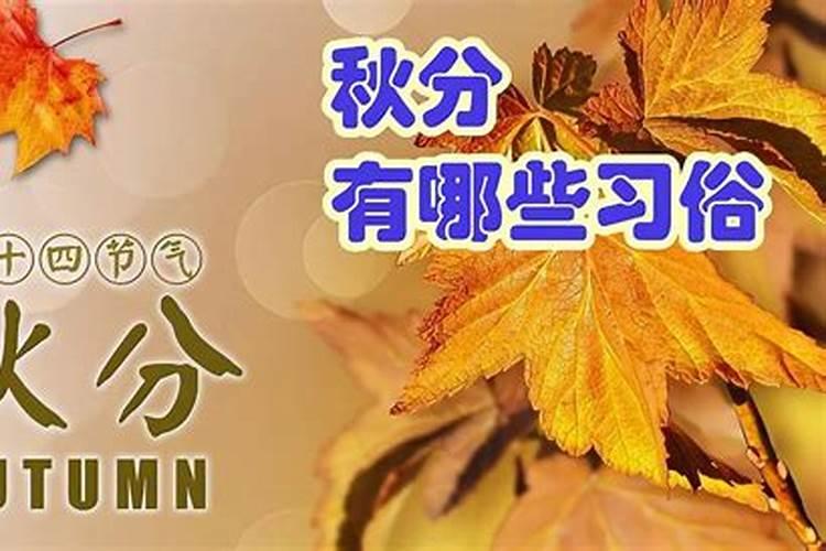 女人梦见被偷是吉兆发财