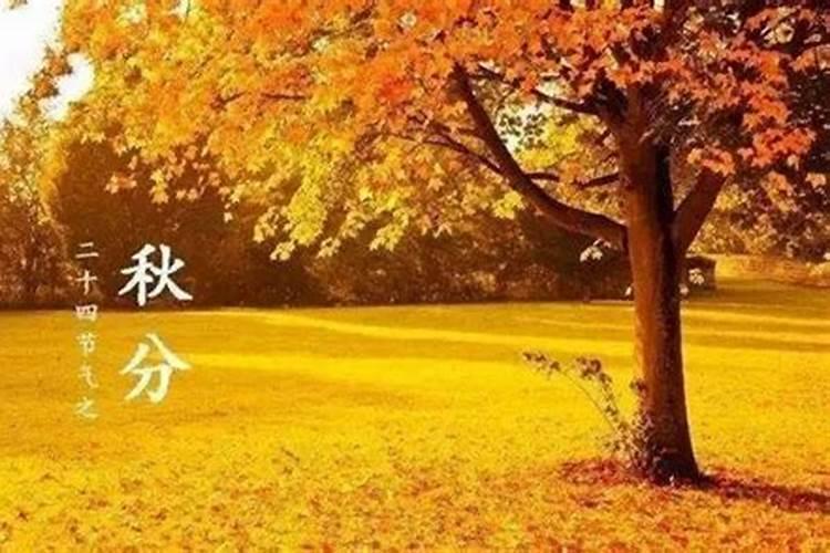 1976年属龙男士(49岁)2025年运势分析,逐月好运来袭