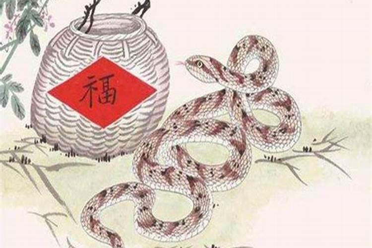 属蛇人一辈子的婚姻