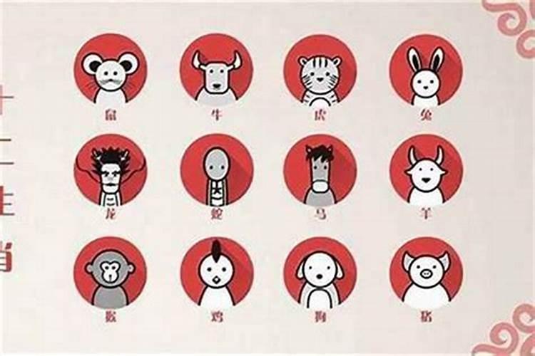 黄是什么生肖
