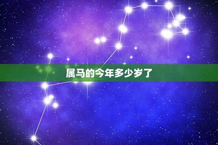 属马的今年多大了2024年岁数表