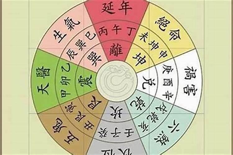 1983年属猪的是什么命