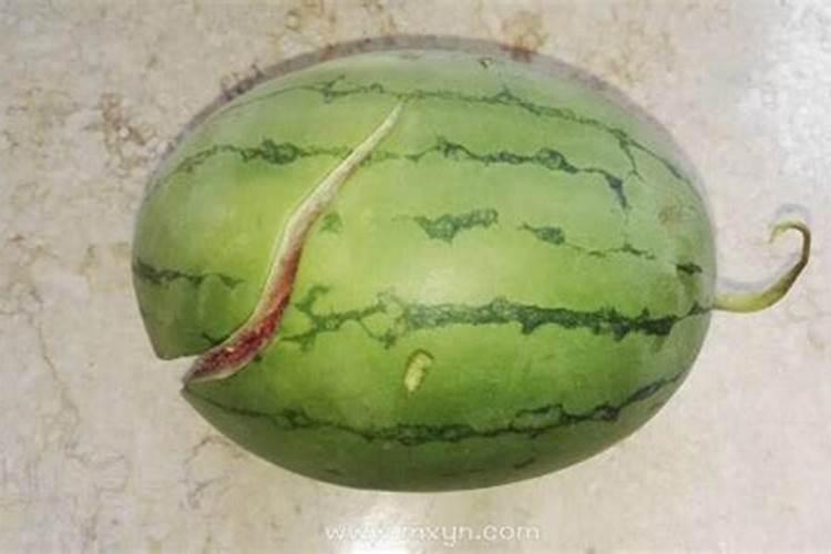 梦见西瓜坏了是什么预兆
