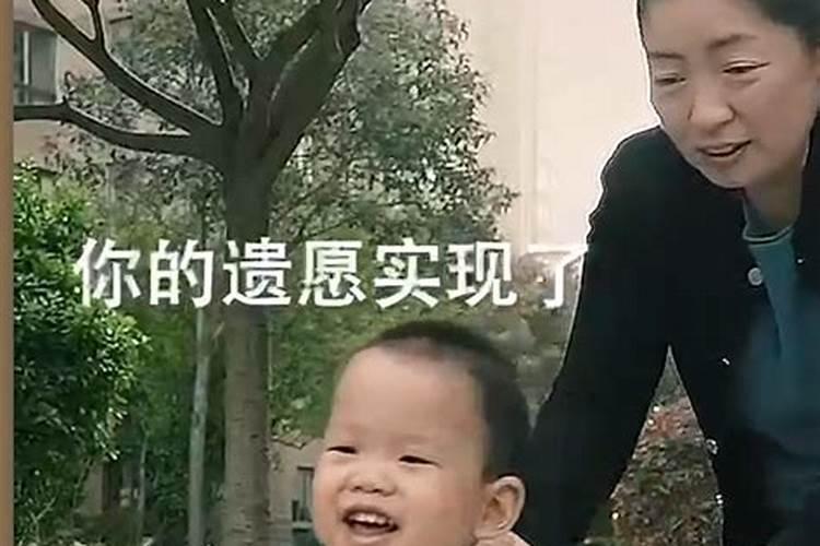 太岁肉灵芝营养液简介