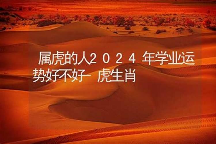 2021年属虎人十一月学业运势佳 佩戴虎眼石提升考试运？
