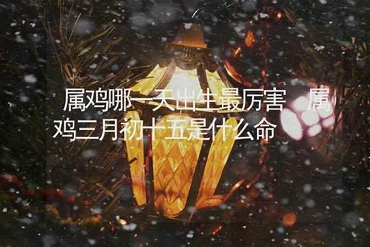 属羊人最倒霉的几年 65岁健康需注意？
