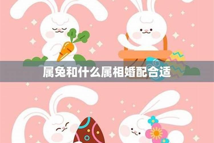 梦见大蛇并杀了它的预兆