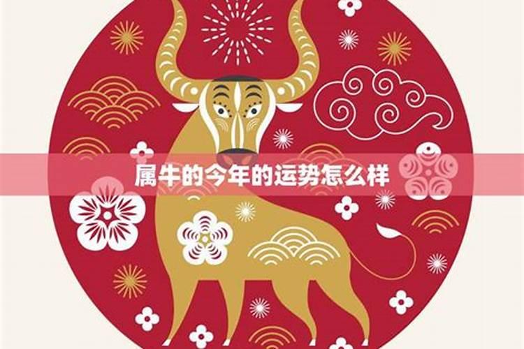 2025属牛今年有一难是什么 属牛2025年运势如何