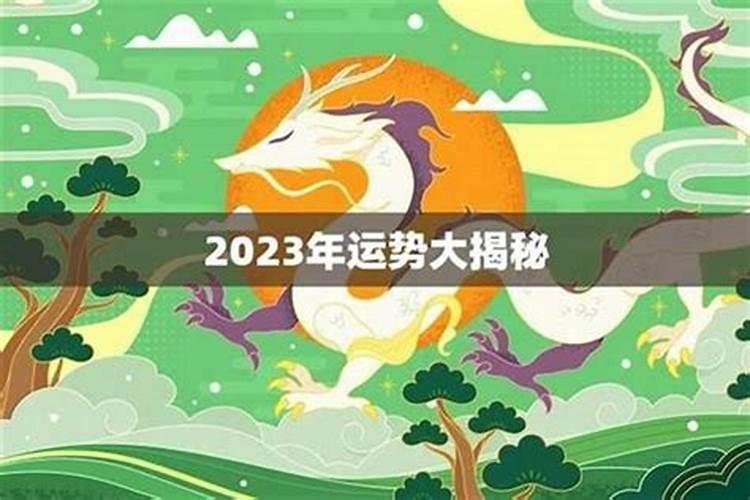 1976年的龙在2025年的运势