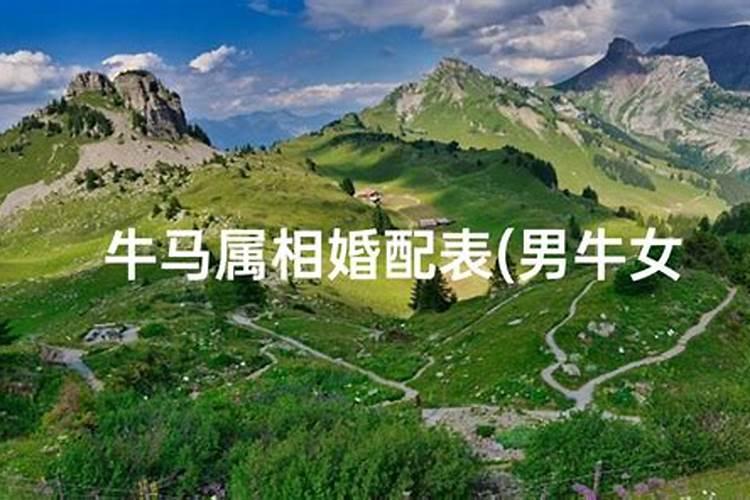 84年鼠2023年6月份的财运和运气
