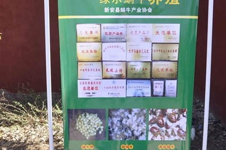两人免费测八字姻缘,测试两人生辰八字姻缘