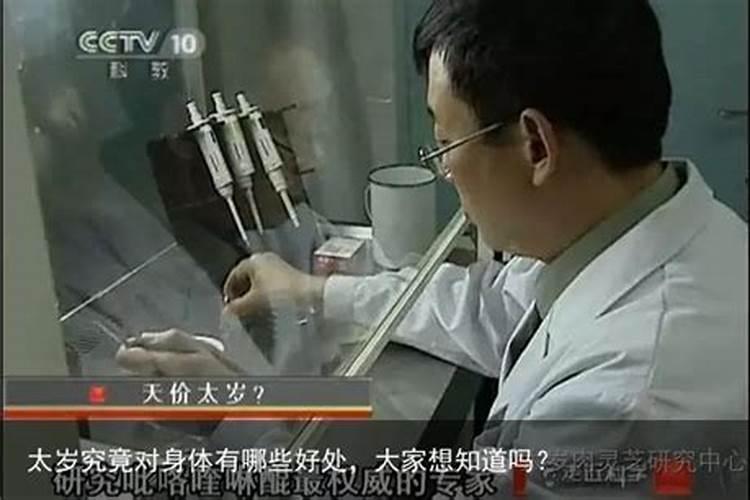属狗的人2025年财运怎么样