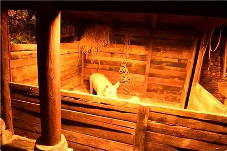 子鼠、丑牛、寅虎、卯兔、辰龙、巳蛇、午马、未羊、申猴、酉鸡、戌狗...