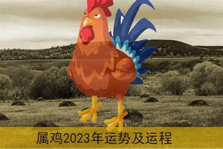 属猴人2025全年运势 属猴人2025年每月运势