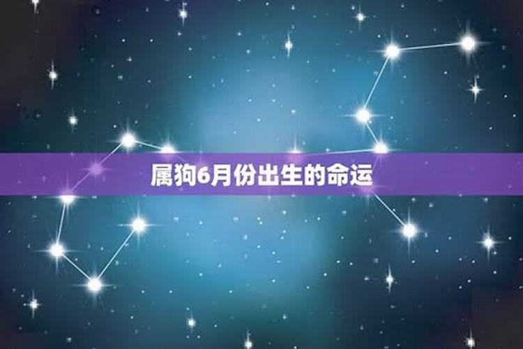 属鼠1984年6月8号出生运气怎样
