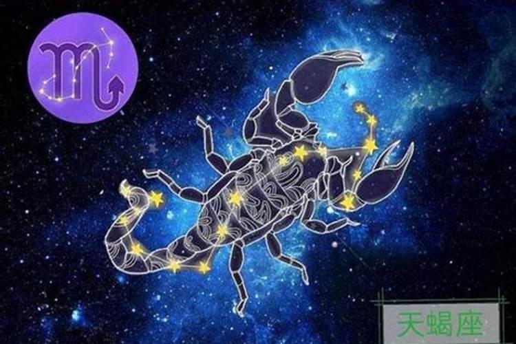 梦到猫丢了又找回来了