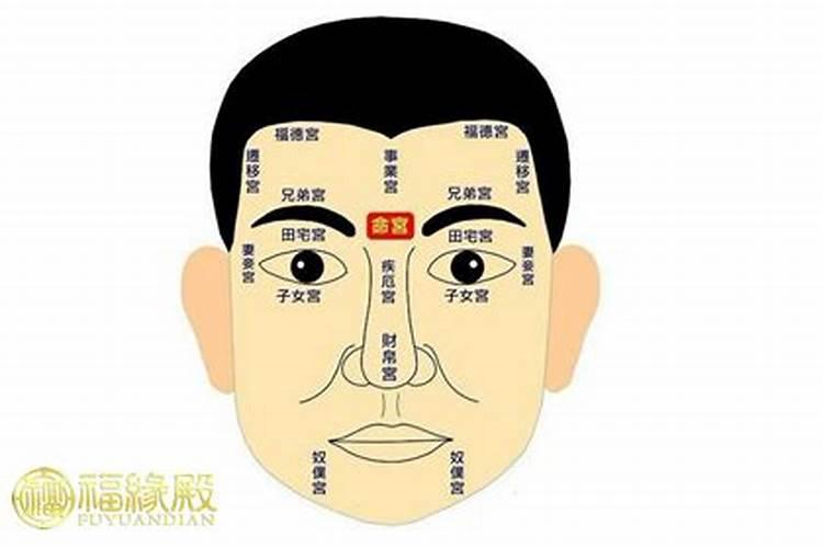 生肖虎2025年运势及运程