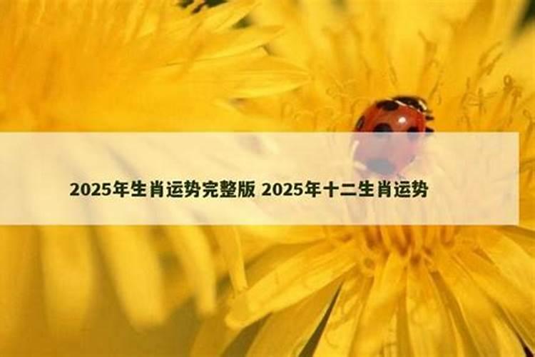 生肖蛇2025年运势 属蛇2025年运势及运程