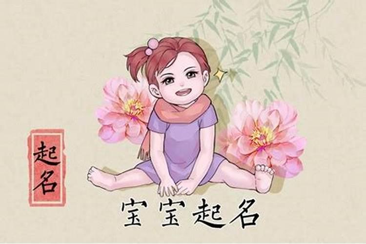 鼠的今年运气怎么样