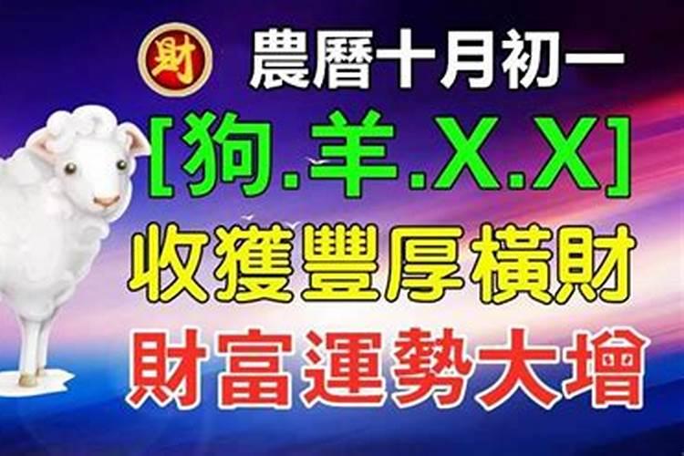 1982年属狗人九紫离火运运势