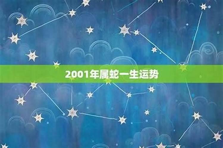 怎样自己开财产库