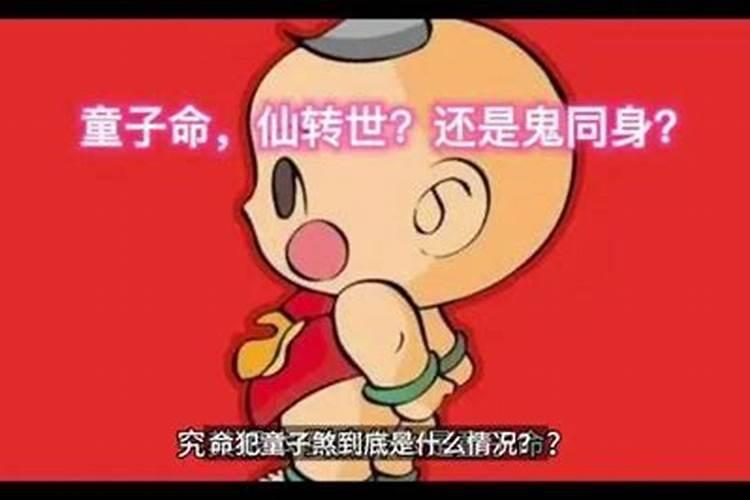 关于纳凉的十五首诗词经典(月明船笛参差起,风定池莲自在香)