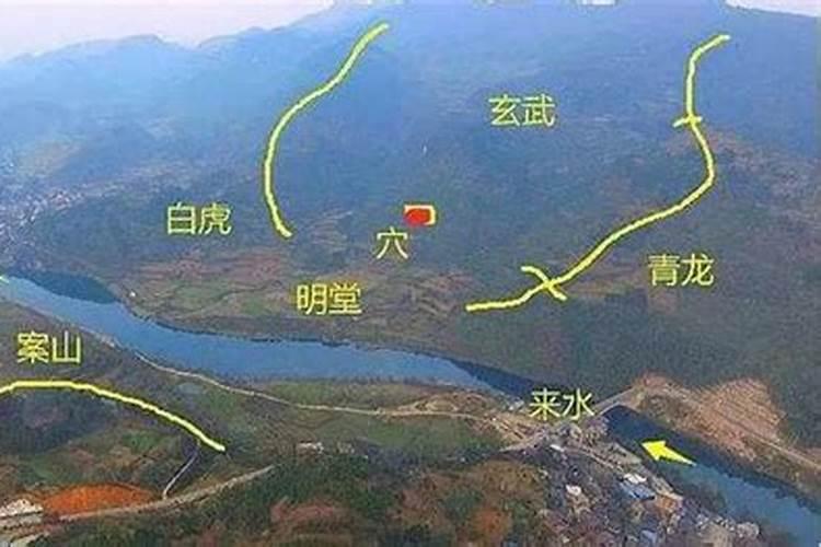 女遇伤官之极贵