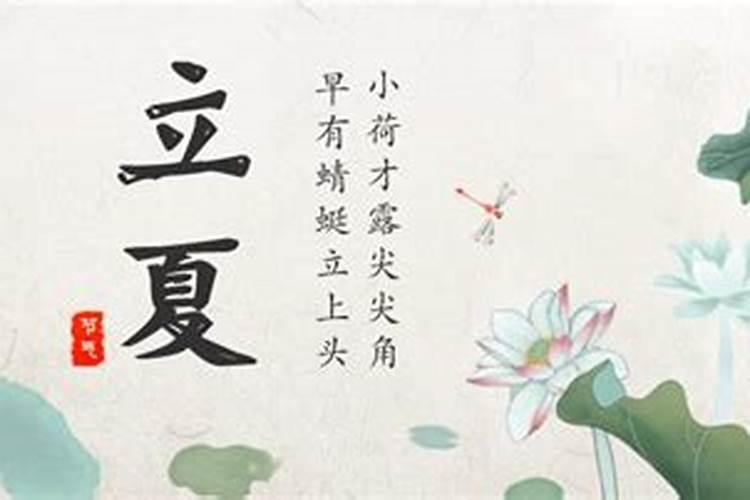 蛇年属鼠的犯太岁吗